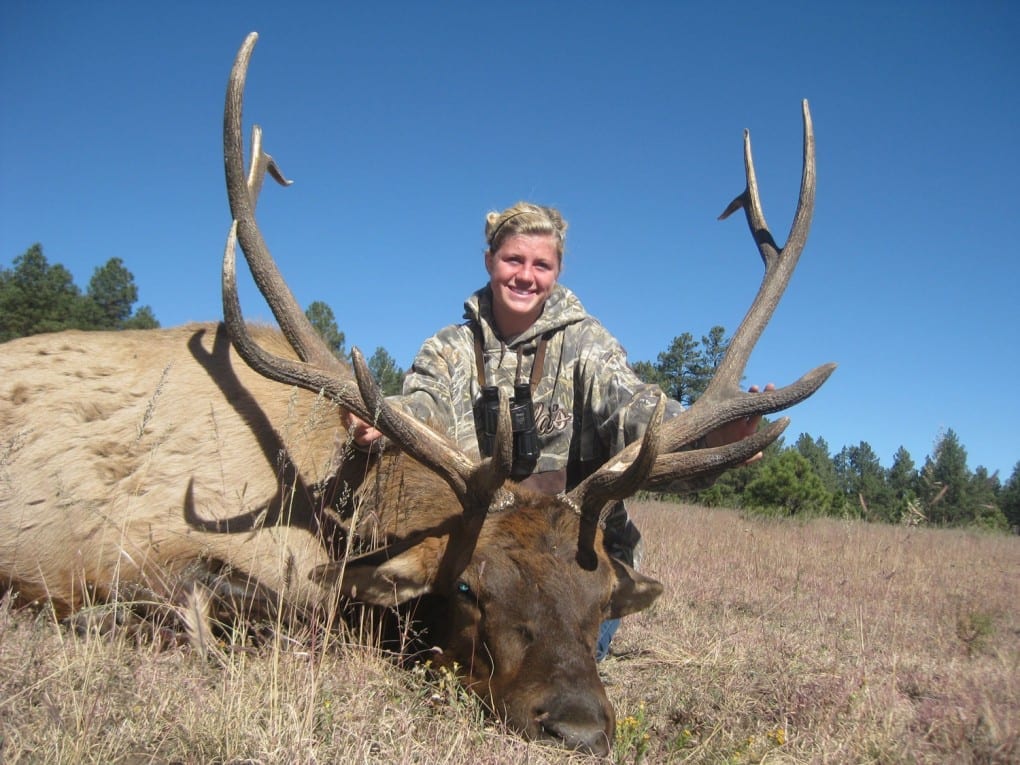 Brette's 16A SB196 Bull New Mexico Big Game Hunting